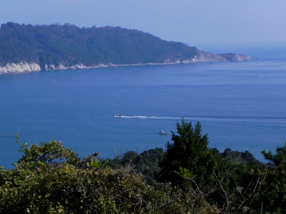f:id:k9352009:20101109111547j:image f:id:k9352009:20101109111547j:image