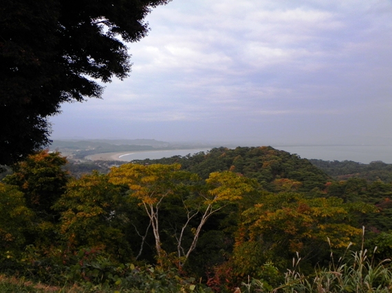 f:id:k9352009:20101109112256j:image f:id:k9352009:20101109112256j:image