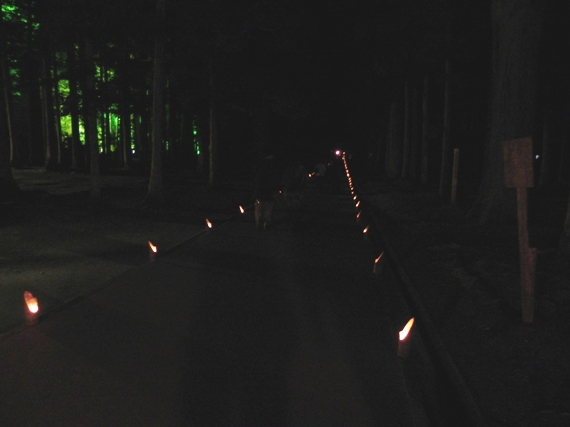 f:id:k9352009:20101111110324j:image