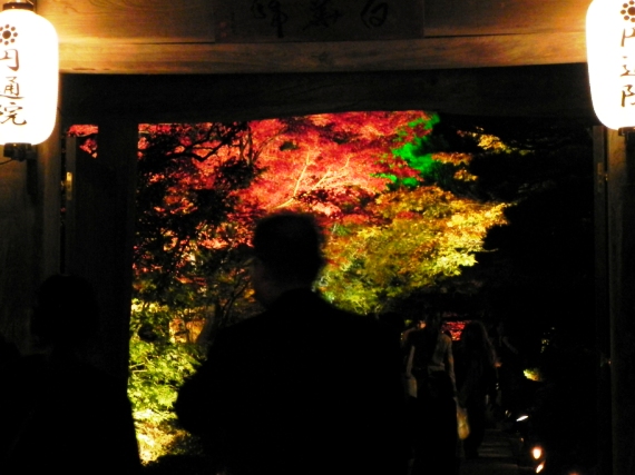 f:id:k9352009:20101111110342j:image
