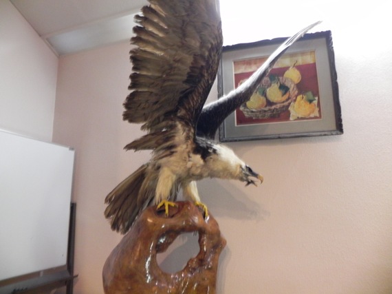 f:id:k9352009:20101111115044j:image