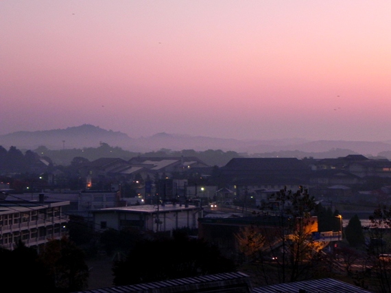 f:id:k9352009:20101113101037j:image