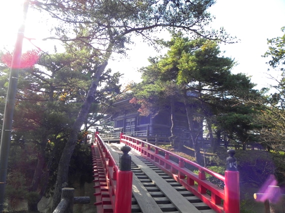 f:id:k9352009:20101113101619j:image