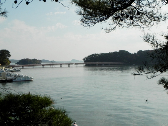 f:id:k9352009:20101113101656j:image