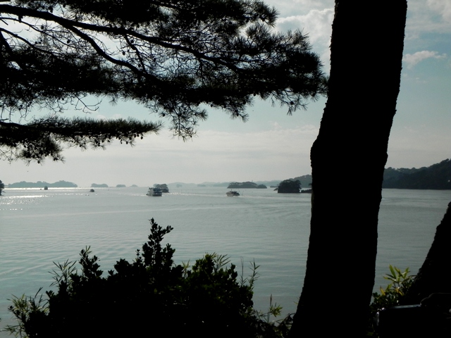 f:id:k9352009:20101113101657j:image