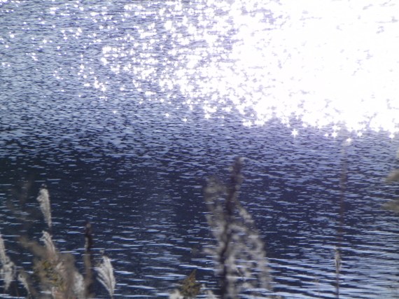 f:id:k9352009:20101207161341j:image