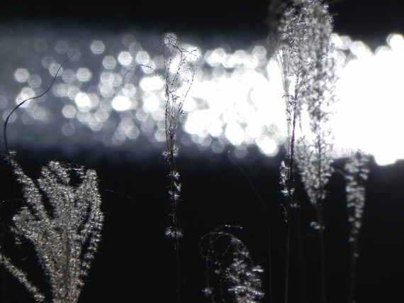 f:id:k9352009:20101207161342j:image