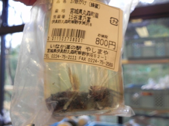 f:id:k9352009:20101215100521j:image f:id:k9352009:20101215100521j:image