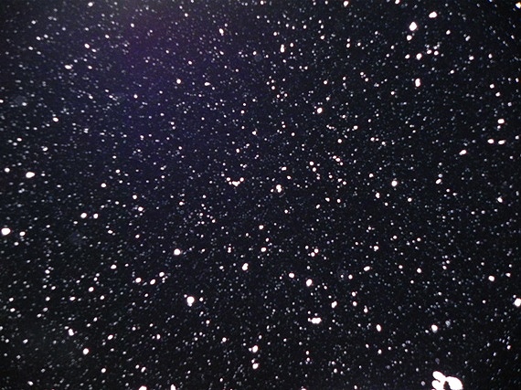 f:id:k9352009:20101226084424j:image