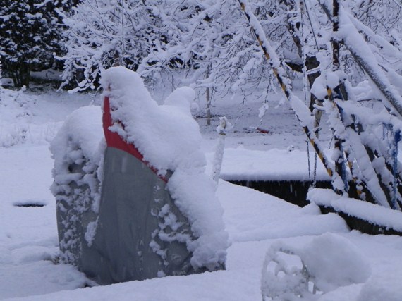 f:id:k9352009:20101226084719j:image