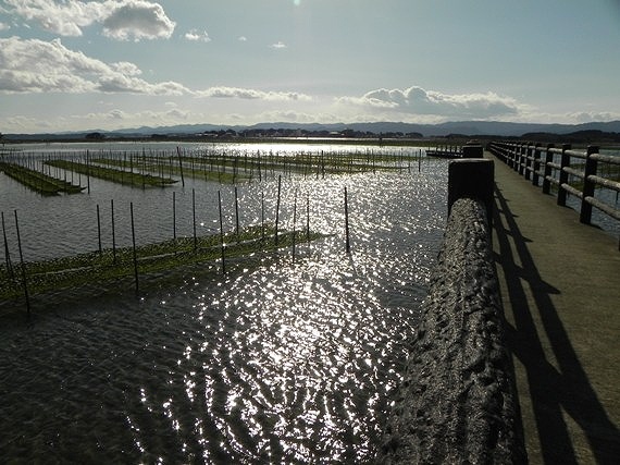 f:id:k9352009:20110217120422j:image