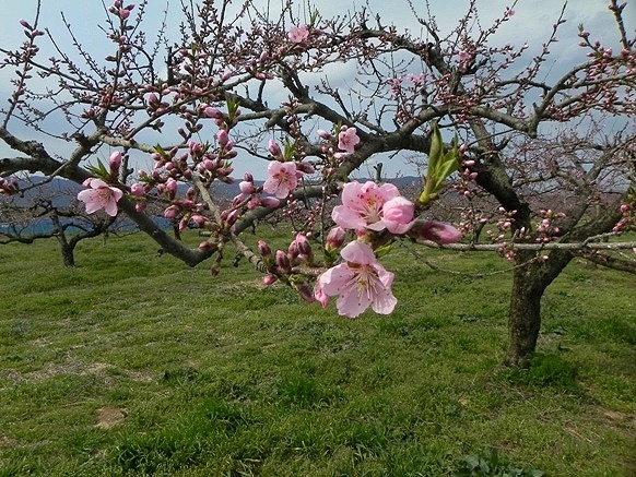 f:id:k9352009:20110422102918j:image