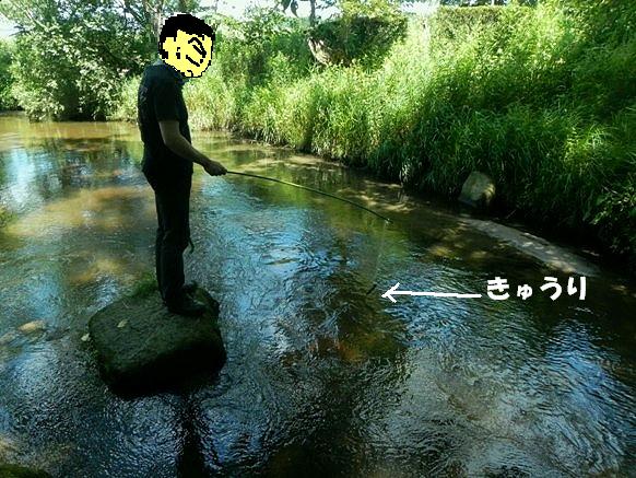 f:id:k9352009:20110724042356j:image