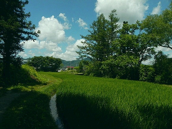 f:id:k9352009:20110724042717j:image