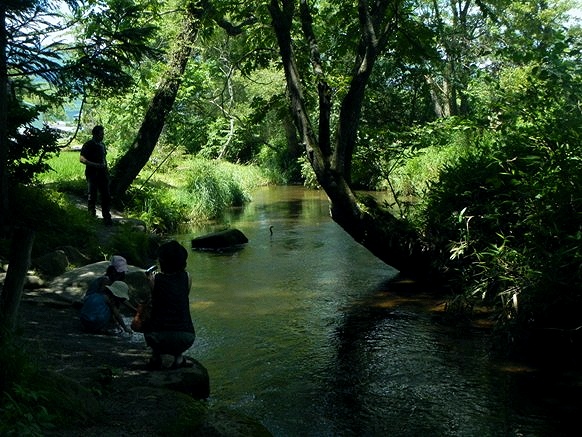 f:id:k9352009:20110724070833j:image