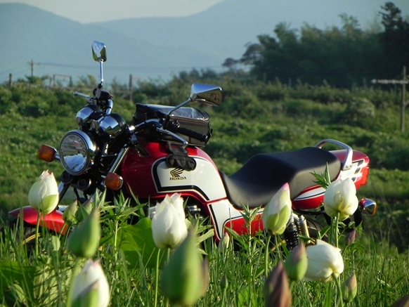 f:id:k9352009:20110814015557j:image
