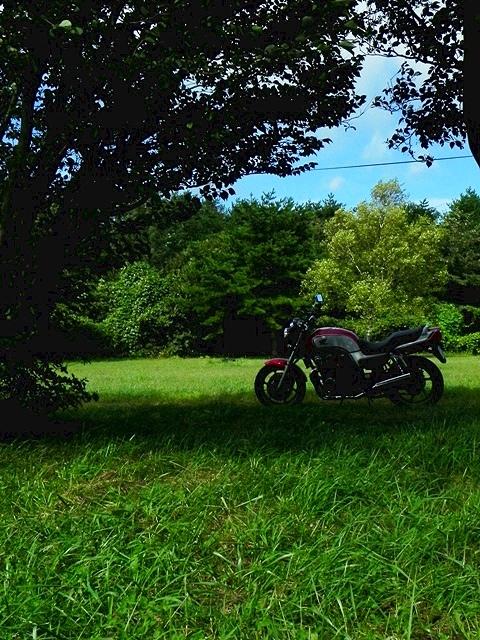 f:id:k9352009:20110920120929j:image