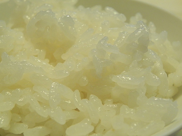 f:id:k9352009:20111021102451j:image