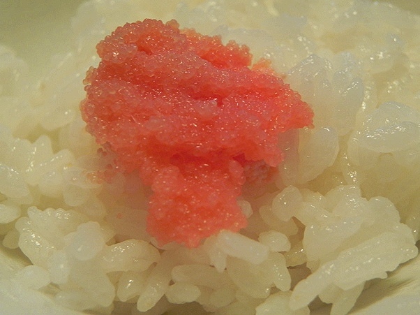 f:id:k9352009:20111021102644j:image