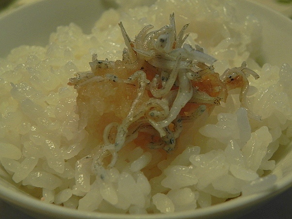 f:id:k9352009:20111021102714j:image