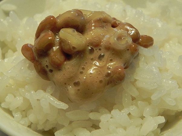 f:id:k9352009:20111021102733j:image