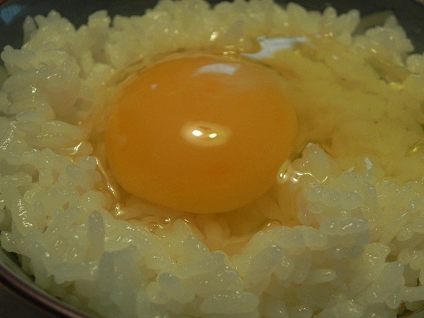 f:id:k9352009:20111021102856j:image