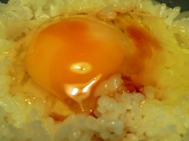 f:id:k9352009:20111021123701j:image