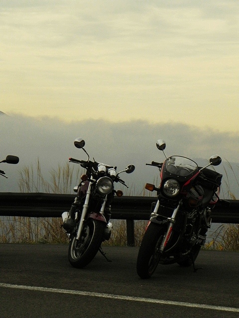 f:id:k9352009:20111105170109j:image