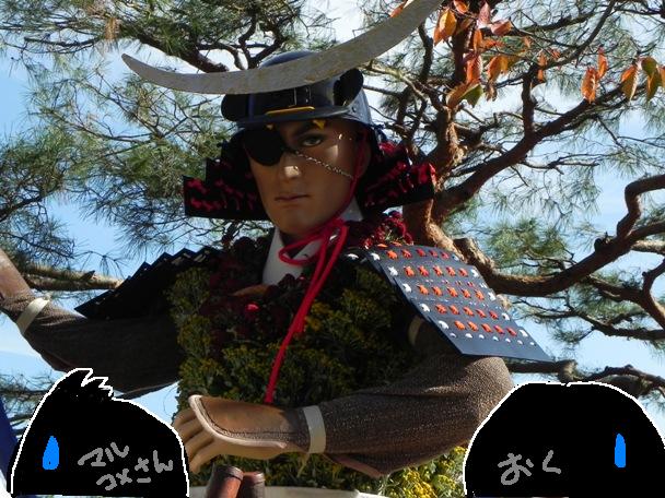 f:id:k9352009:20111109093843j:image