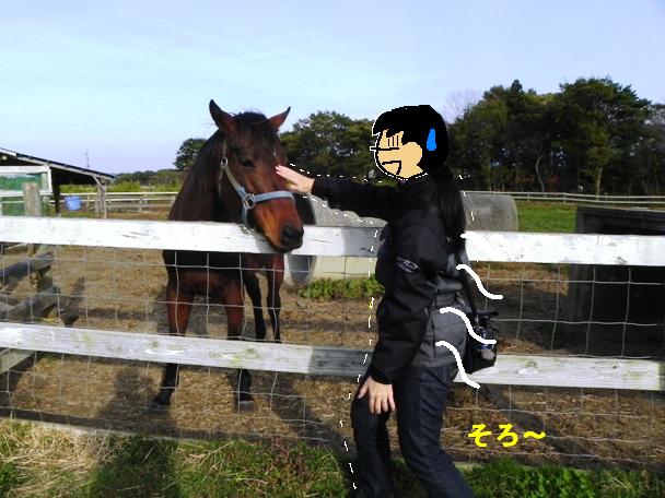 f:id:k9352009:20111109101106j:image
