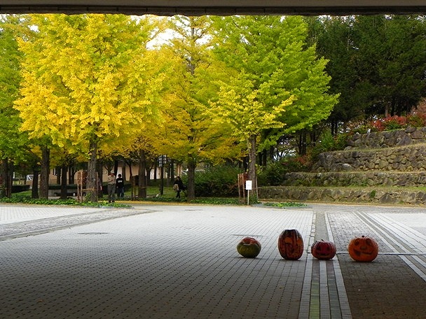 f:id:k9352009:20111109113618j:image