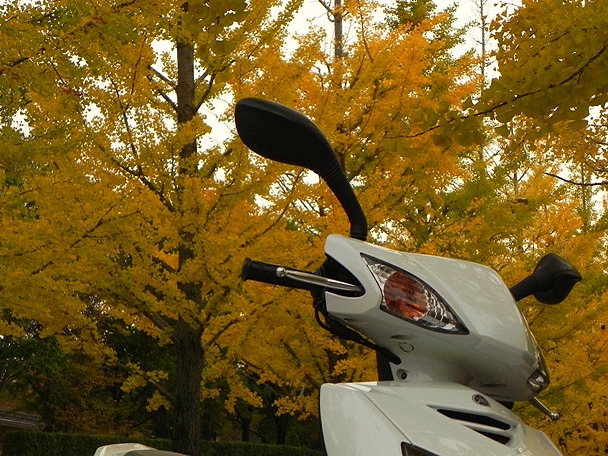 f:id:k9352009:20111109122123j:image