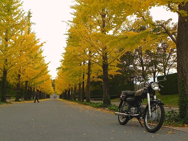 f:id:k9352009:20111109122124j:image