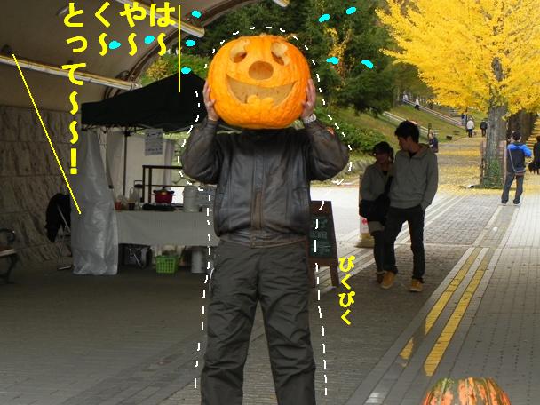 f:id:k9352009:20111111125459j:image f:id:k9352009:20111111125459j:image