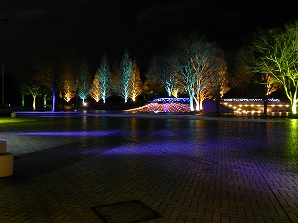 f:id:k9352009:20120110130324j:image