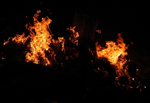 f:id:k9352009:20120119114025j:image