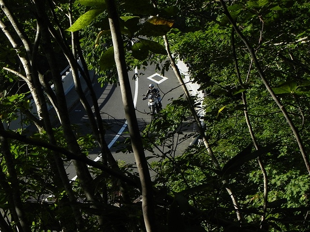 f:id:k9352009:20120127112641j:image