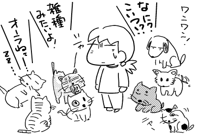 f:id:k9352009:20120202115227p:image