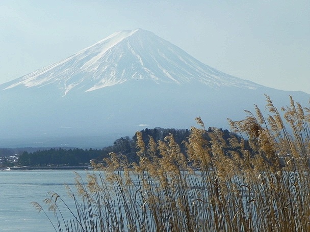 f:id:k9352009:20120212111703j:image