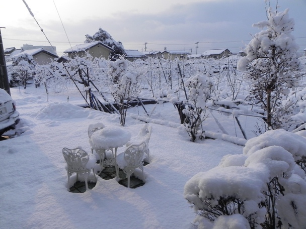 f:id:k9352009:20120303095551j:image