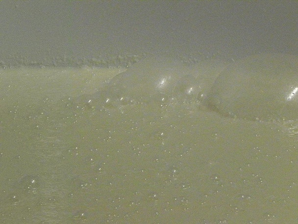 f:id:k9352009:20120316102123j:image