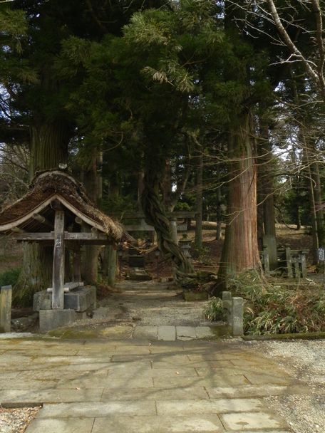 f:id:k9352009:20120402124245j:image