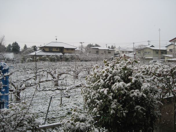 f:id:k9352009:20120408082352j:image