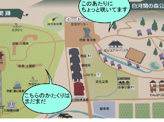 f:id:k9352009:20120408093203j:image