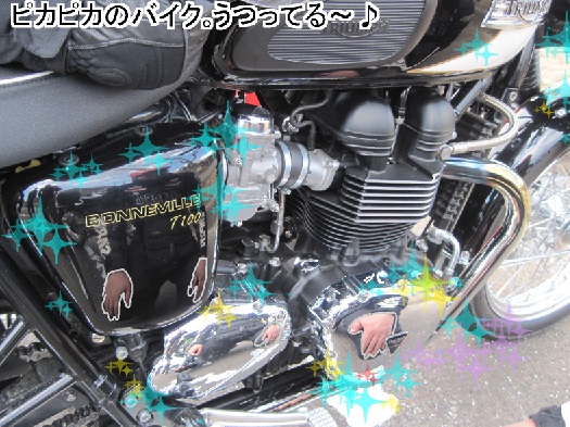 f:id:k9352009:20120409125713j:image