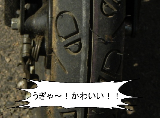 f:id:k9352009:20120409133236j:image