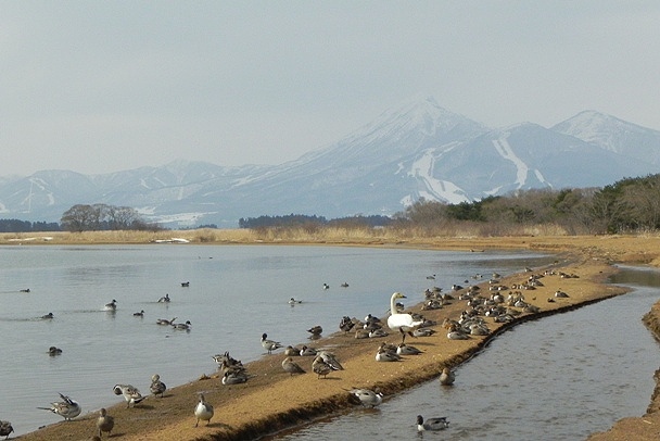 f:id:k9352009:20120413112443j:image