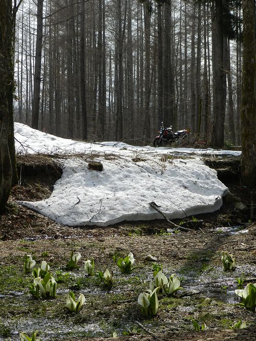 f:id:k9352009:20120427094334j:image