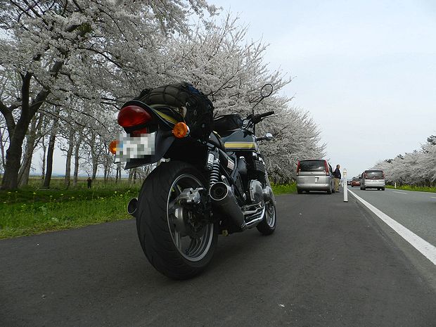 f:id:k9352009:20120511103918j:image