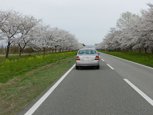 f:id:k9352009:20120511103920j:image